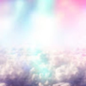 Meet your Posher, Noel